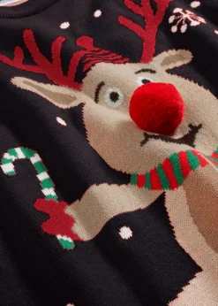 Feinstrickpullover mit Rundhalsausschnitt